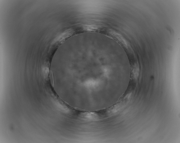 X0000111480427200907141221