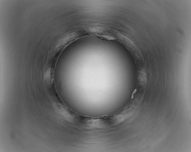 X0000111480428200907141221