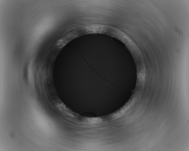 X0000111480429200907141221