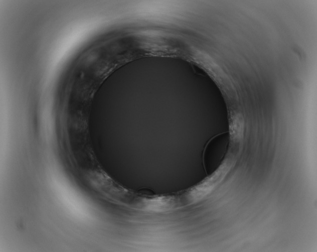 X0000111480430200907141221