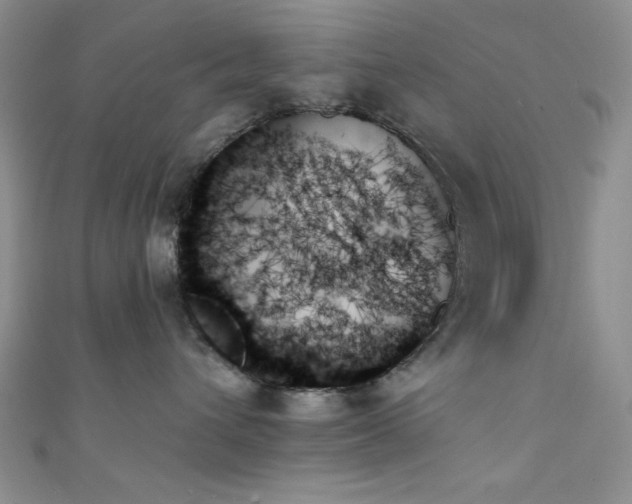 X0000111480432200907141221