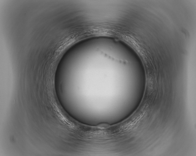 X0000111480433200907141221