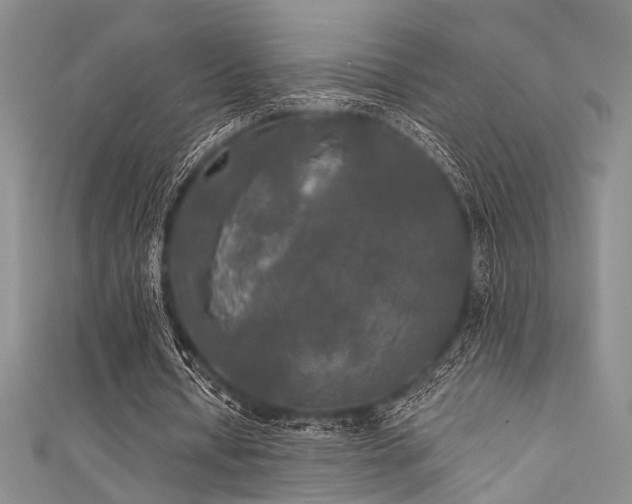 X0000111480434200907141221