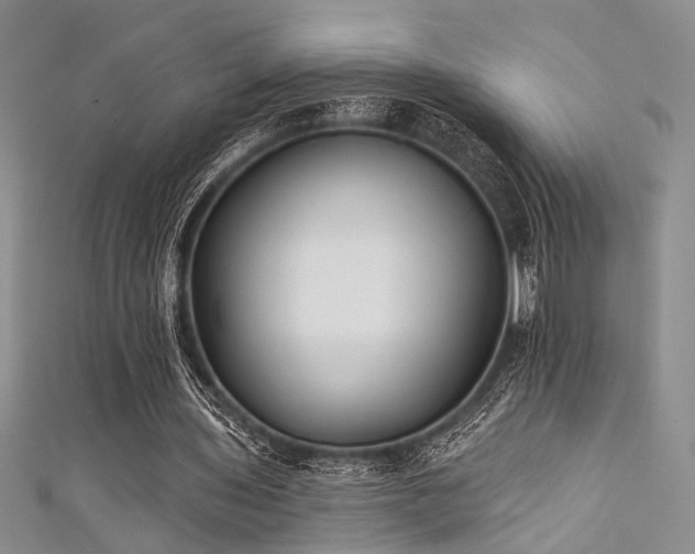 X0000111480435200907141221