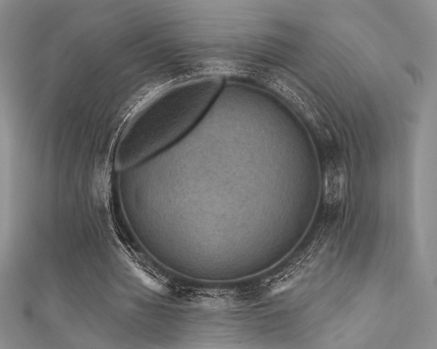 X0000111480436200907141221