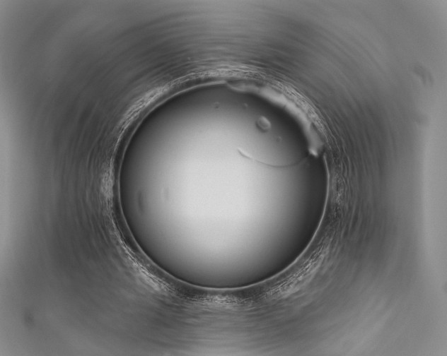 X0000111480437200907141221