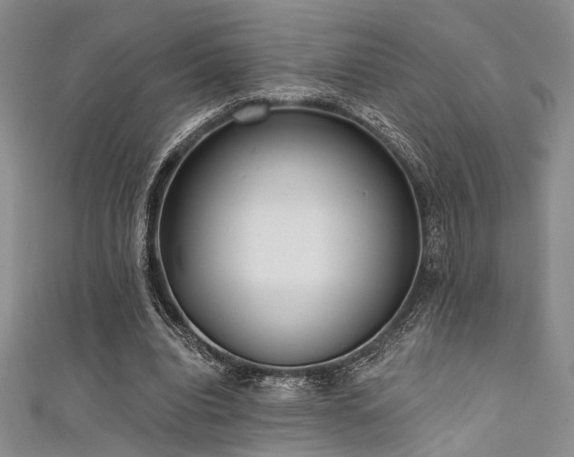 X0000111480440200907141221