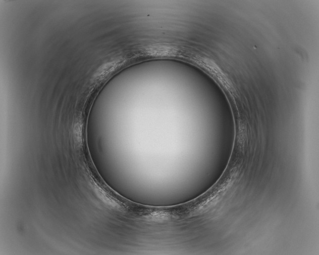 X0000111480441200907141221