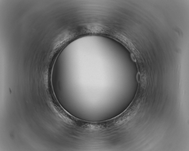 X0000111480442200907141221