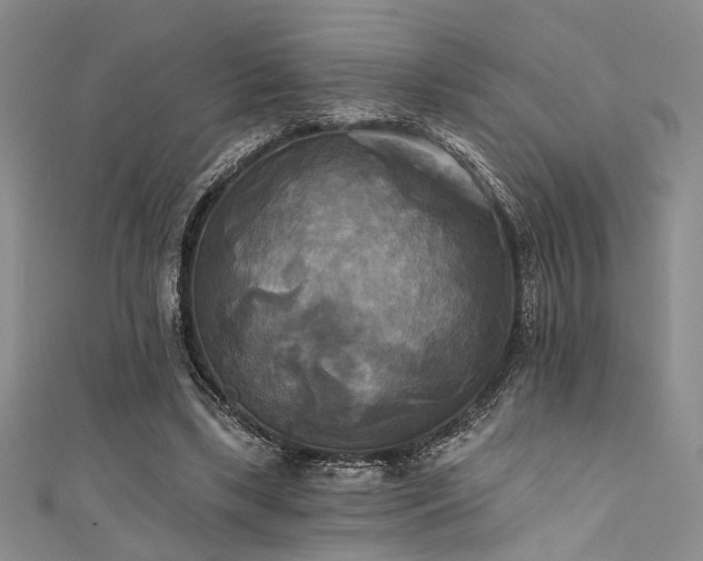 X0000111480443200907141221