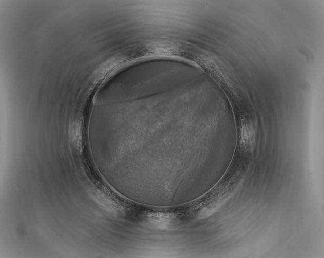 X0000111480444200907141221