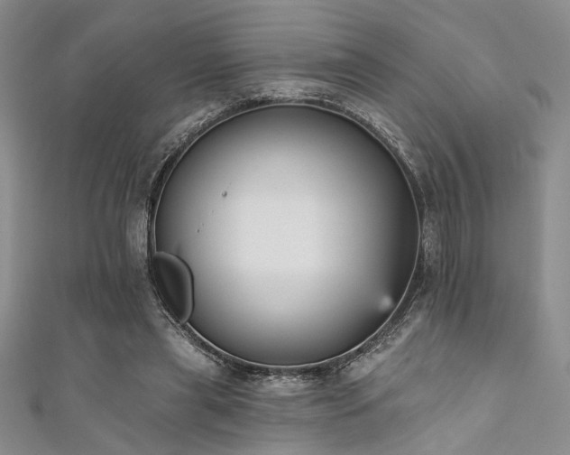 X0000111480445200907141221