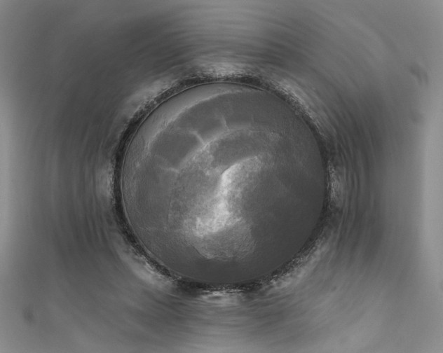 X0000111480447200907141221