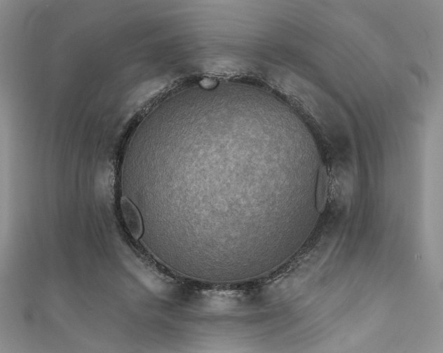X0000111480448200907141221