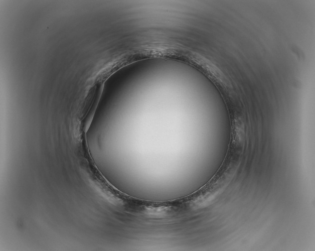X0000111480450200907141221