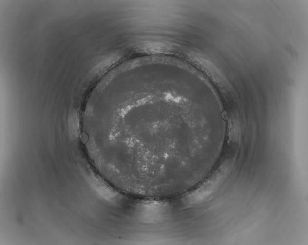 X0000111480453200907141221