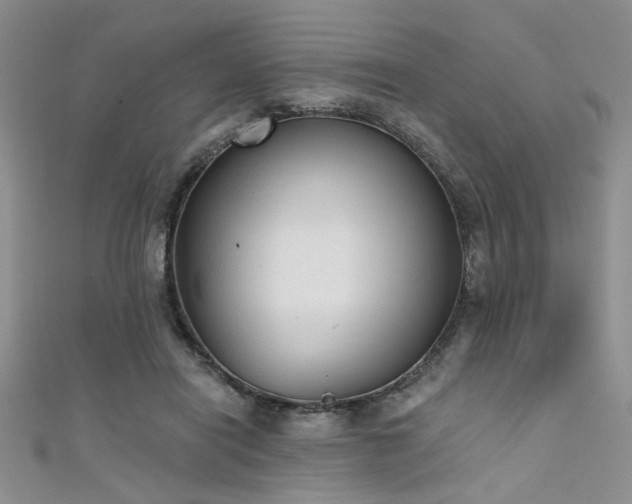 X0000111480454200907141221