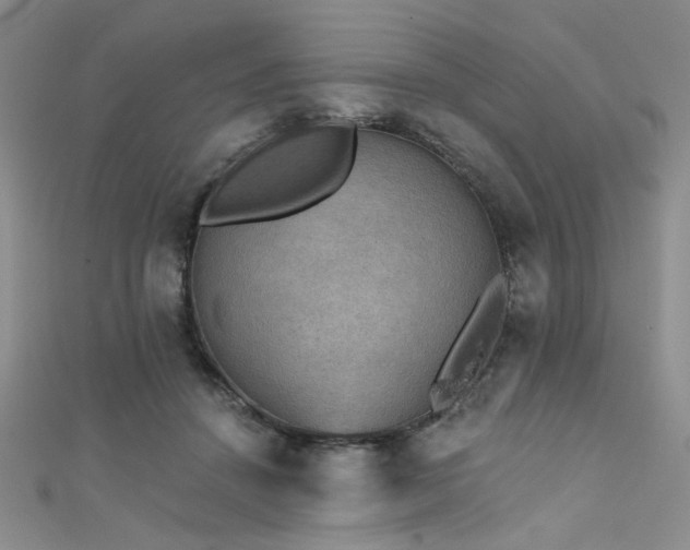 X0000111480456200907141221