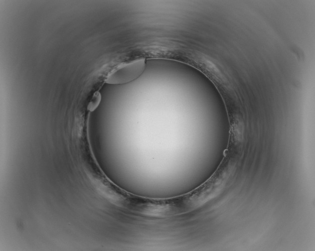 X0000111480458200907141221