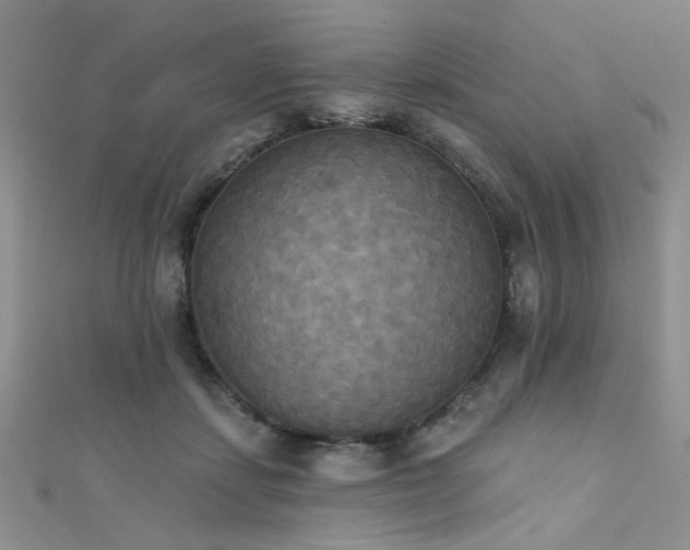 X0000111480459200907141221