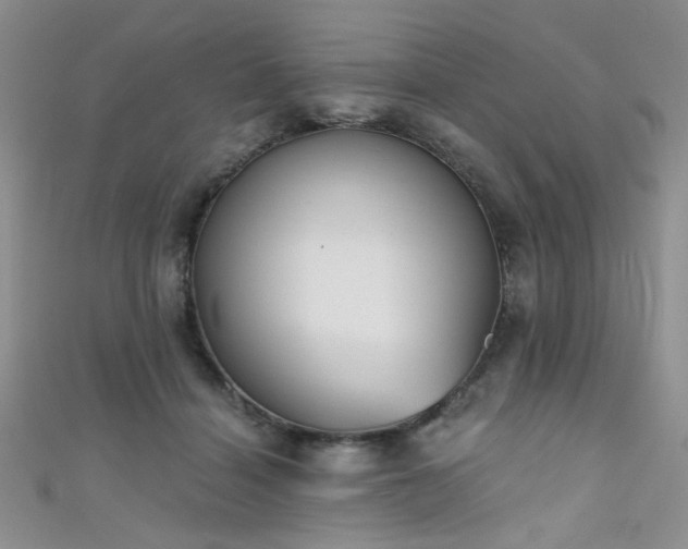 X0000111480460200907141221