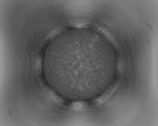 X0000111480461200907141221