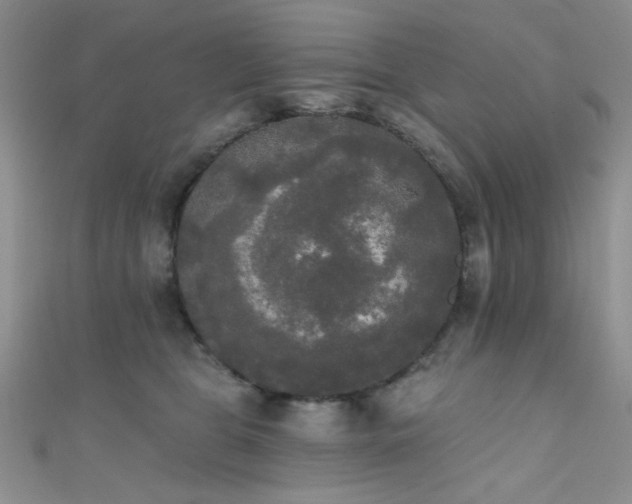 X0000111480469200907141221