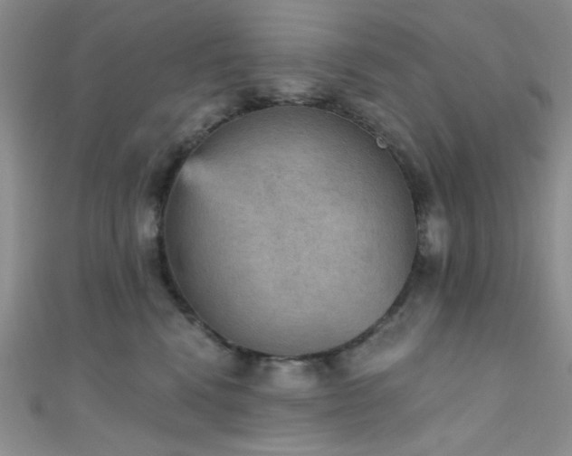 X0000111480472200907141221