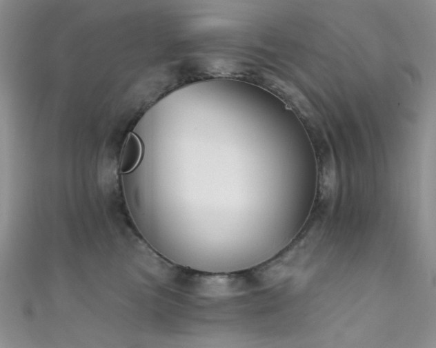 X0000111480473200907141221
