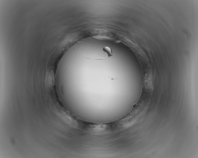 X0000111480474200907141221