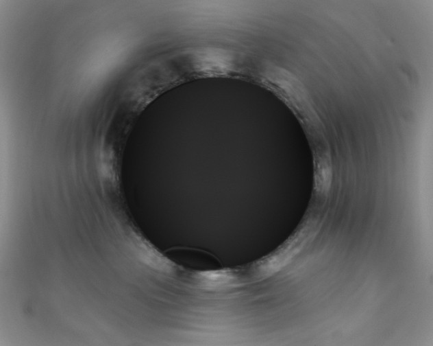 X0000111480477200907141221