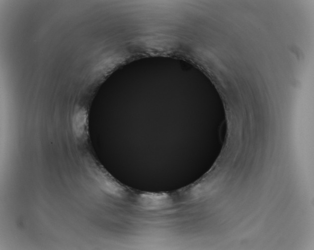 X0000111480480200907141221