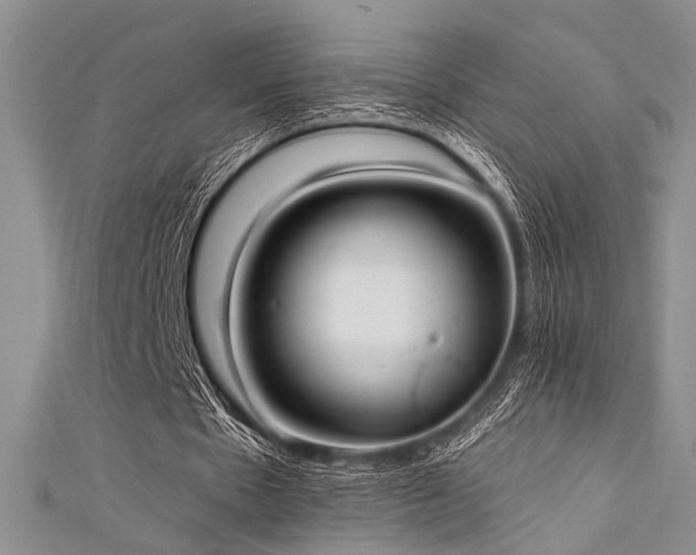 X0000111480481200907141221