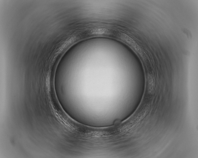 X0000111480482200907141220