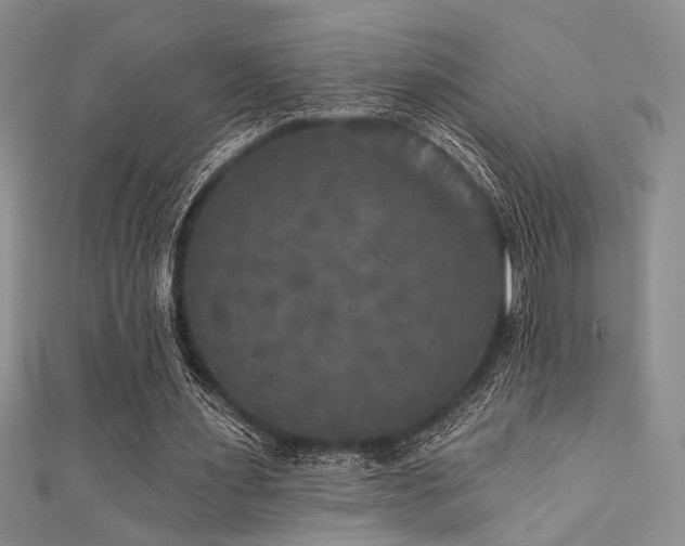 X0000111480483200907141220