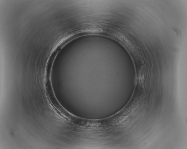 X0000111480484200907141220