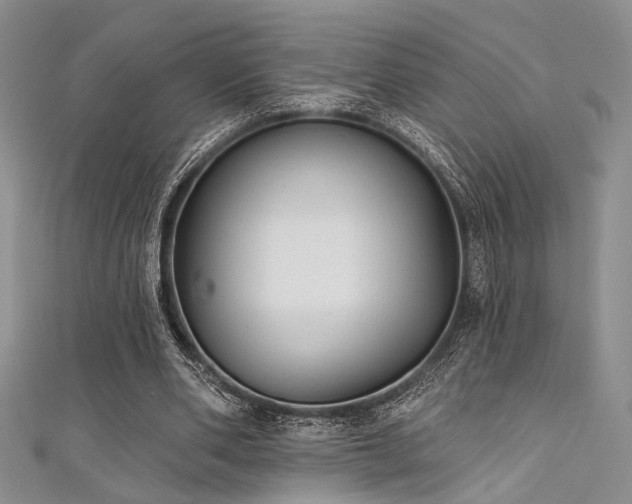 X0000111480486200907141220