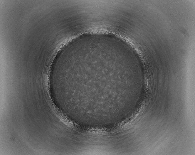 X0000111480487200907141220