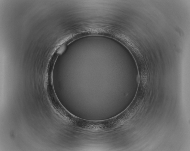 X0000111480488200907141220