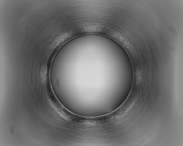 X0000111480490200907141220