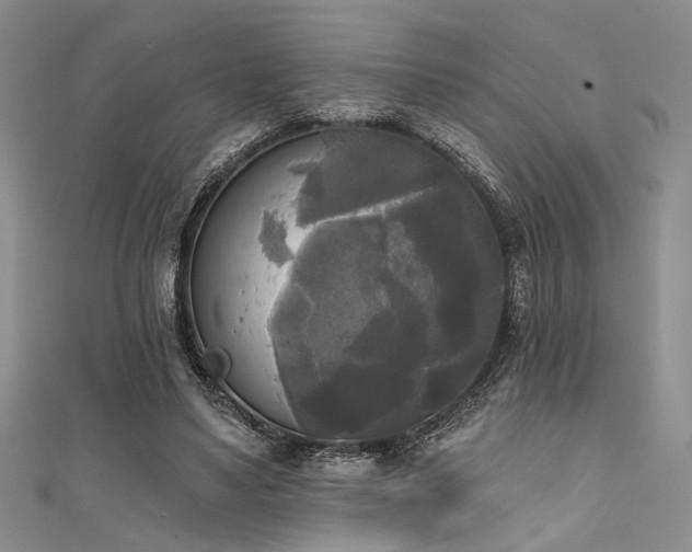 X0000111480491200907141220