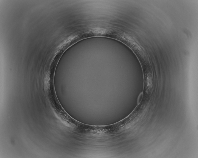 X0000111480492200907141220