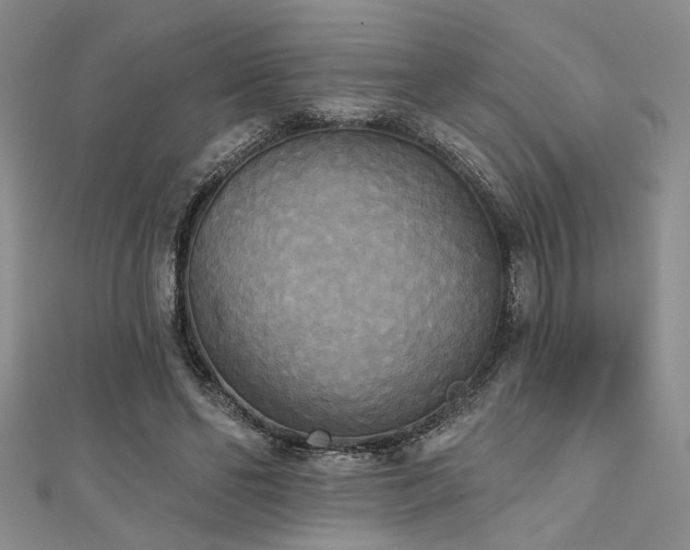 X0000111480494200907141220