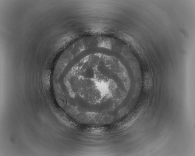 X0000111480495200907141220