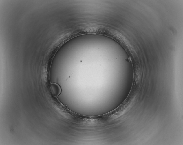 X0000111480497200907141220