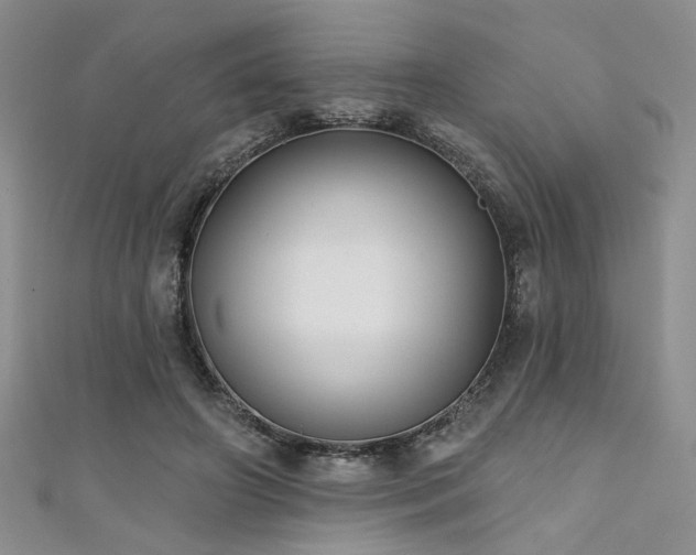 X0000111480498200907141220