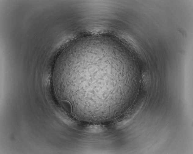X0000111480499200907141220