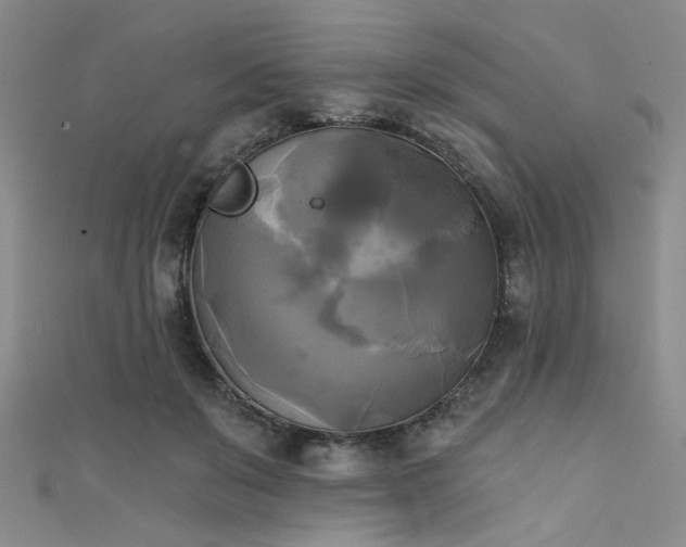 X0000111480503200907141220