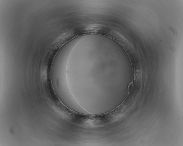 X0000111480504200907141220