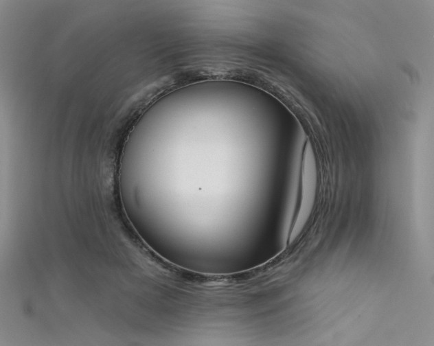 X0000111480505200907141220